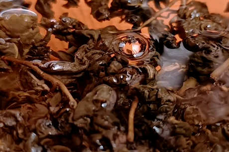 茶有多少种？