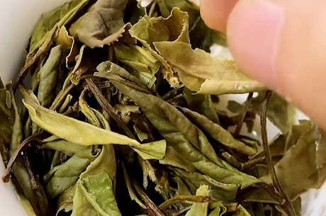茶有多少种？
