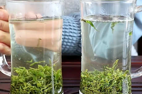绿茶泡茶的温度是多少？