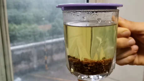 禁忌黑苦荞茶