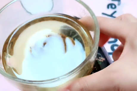 禁忌黑苦荞茶