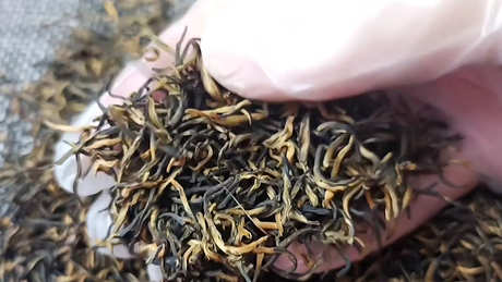 茶能和枸杞一起泡水喝吗？