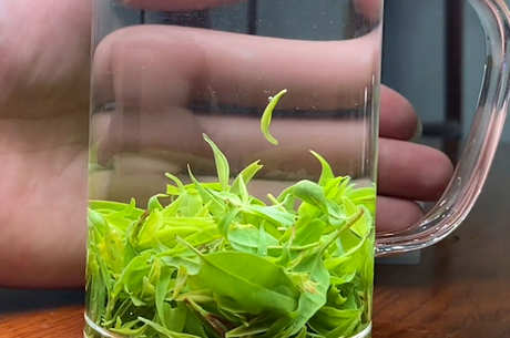 喝苦丁茶的好处