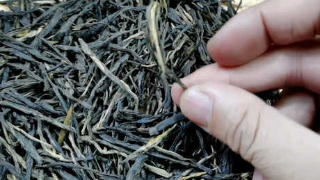 经常喝茶有什么好处和坏处？