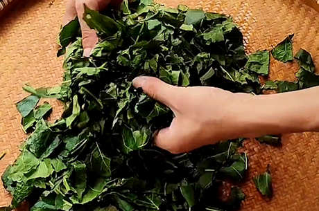 经常喝桑叶茶有什么好处？