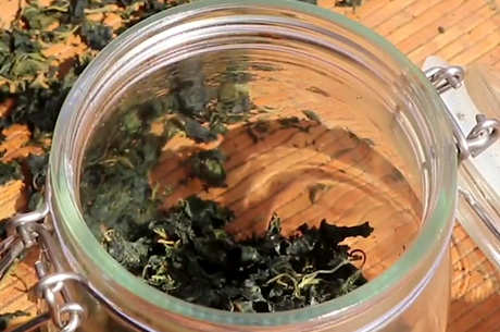 经常喝桑叶茶有什么好处？
