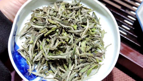 什么茶是白茶？有哪些品种？