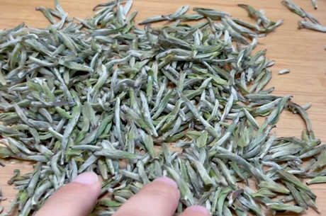 什么茶是白茶？有哪些品种？