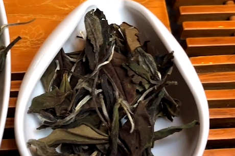 什么茶是白茶？有哪些品种？
