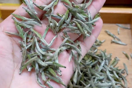 茶的品种有哪些？