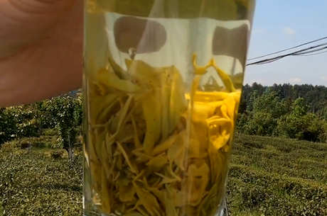 茶的品种有哪些？
