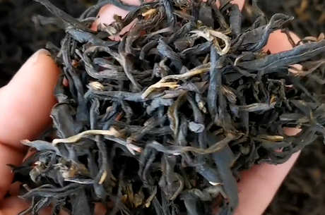 红茶有哪些品种？