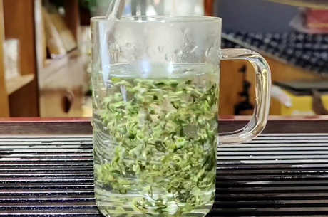 信阳毛尖是绿茶还是什么茶