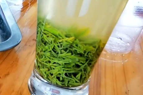 信阳毛尖是绿茶还是什么茶