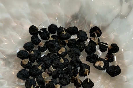 黑枸杞泡茶的最佳温度是多少？