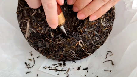 薄荷塘古树茶的特点
