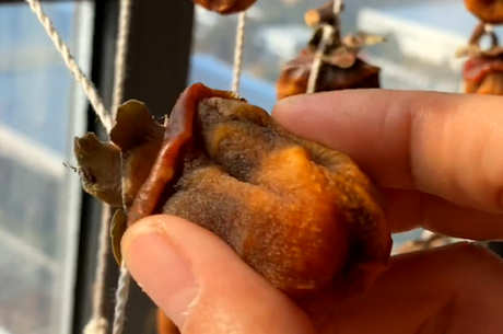 柿饼和茶能一起吃吗？