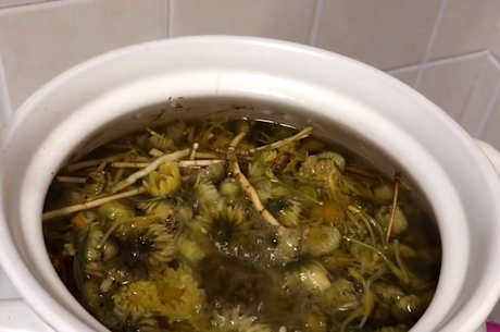 禁忌金银花菊花茶