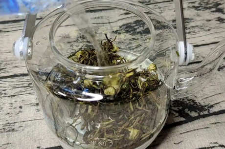 禁忌金银花菊花茶