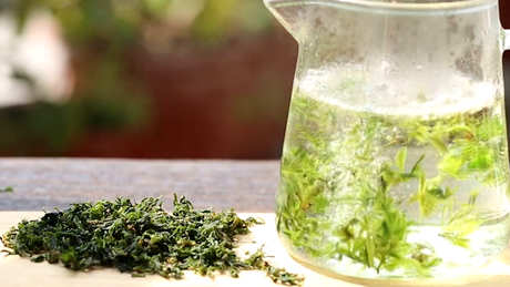 女性喝苦丁茶的作用