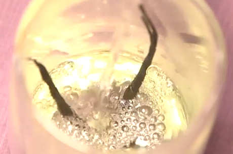 女性喝苦丁茶的作用