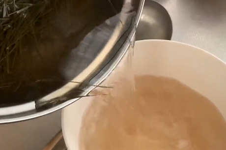 松针茶的功效和作用