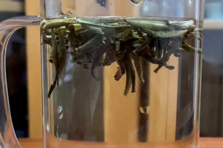 银针白毫和白毫银针之间的区别