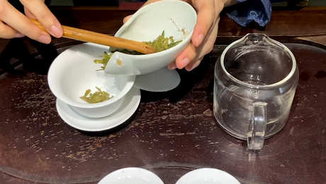 绿茶的冲泡