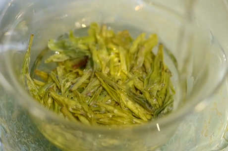 绿茶的冲泡
