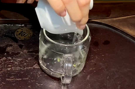 绿茶的冲泡