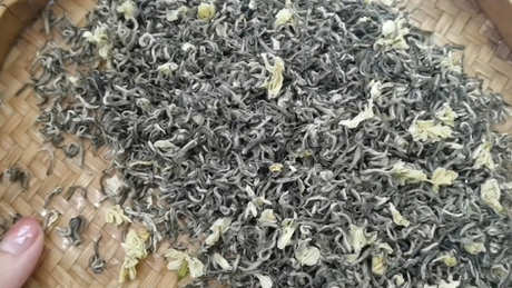 茉莉花茶去火吗？