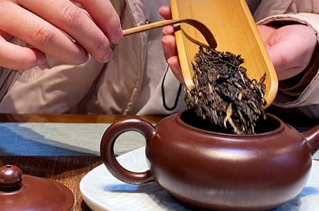 泡茶的方法步骤