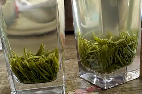 中国十大名茶有哪十种？