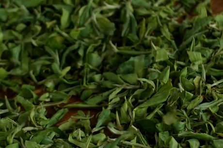 中国十大名茶有哪十种？