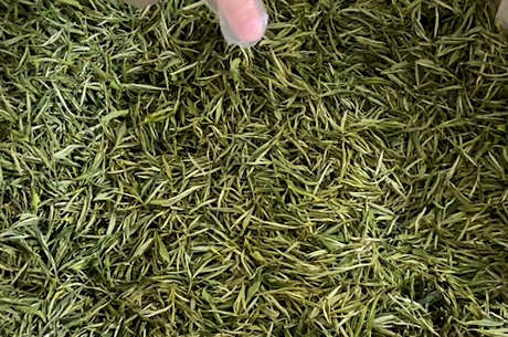 中国十大名茶有哪十种？