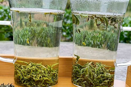 中国十大名茶有哪十种？