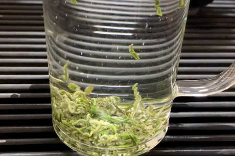 中国十大名茶有哪十种？