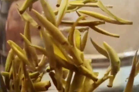 茶叶的种类