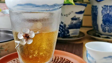 什么茶是单丛？