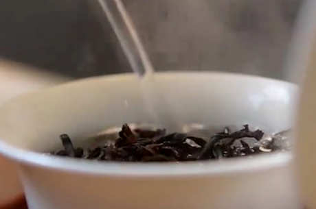 什么茶是单丛？