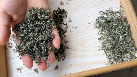 女性喝碧螺春茶的好处