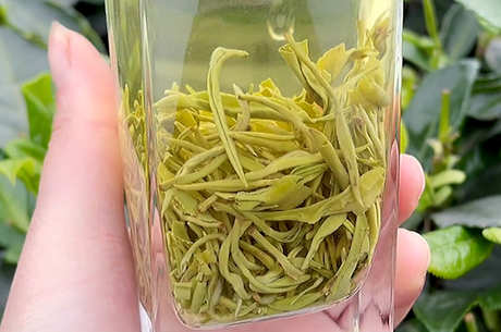 女性喝碧螺春茶的好处