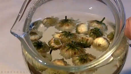 禁忌饮用胎菊泡水