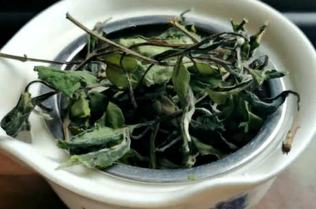 喝白茶有什么好处和坏处？