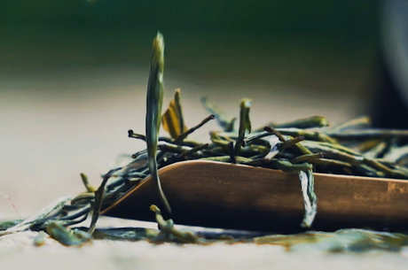 喝毛尖茶的好处和坏处