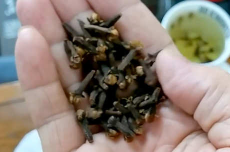 丁香茶的副作用和禁忌