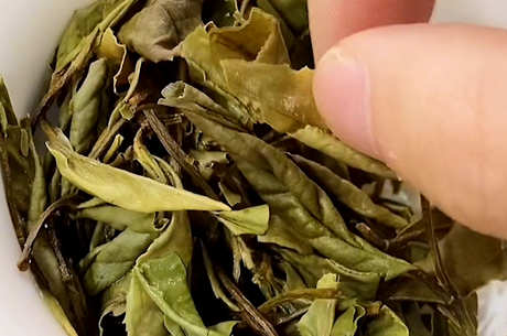 茶叶品种