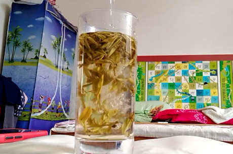绿茶品种