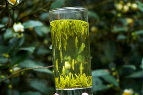绿茶品种