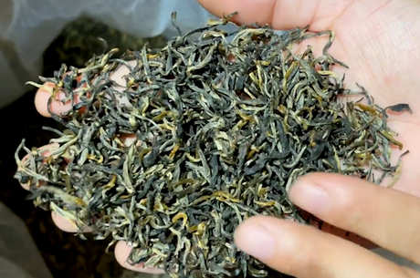 喝金骏眉的好处和坏处